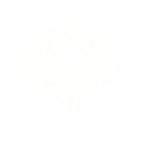INSINTO AI