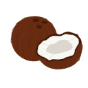 Coconuts AI